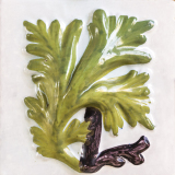 Azulejo (Sintra, Portugal)