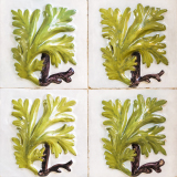 Azulejos (Sintra, Portugal)