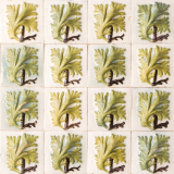 Azulejos (Sintra, Portugal)