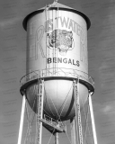 Water Tower (Plainview, Texas)