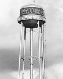 Water Tower (Wallis, Texas)