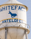 Water Tower (Whiteface, Texas)